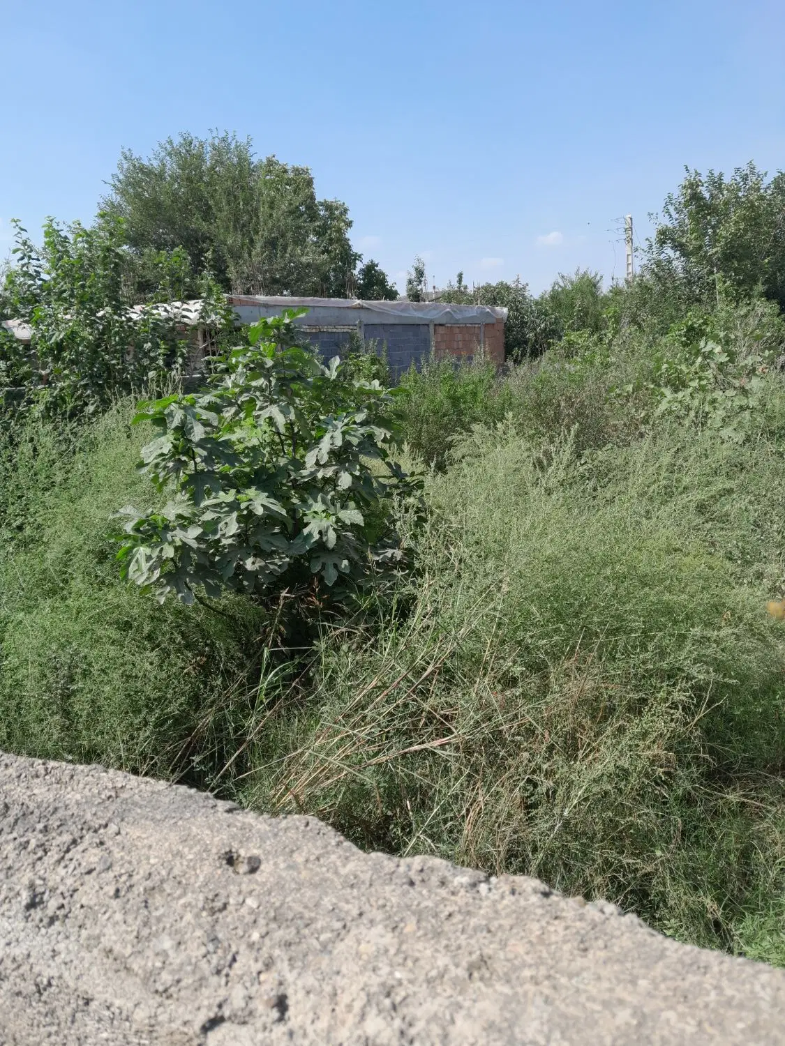 زمین مهدی اباد انقلاب۳