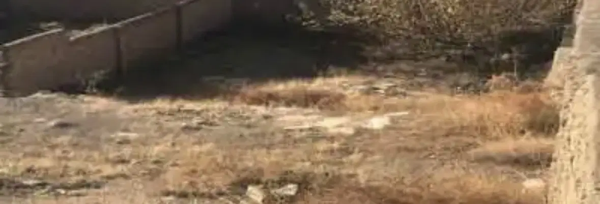 زمین ۶۰۰متری ملارد ویلای شمالی نگارستان۴