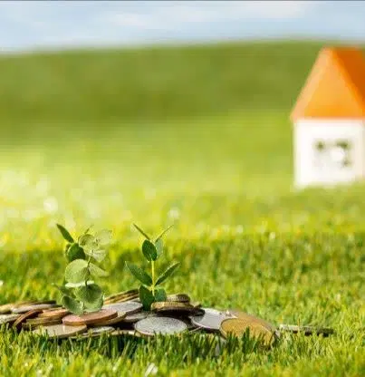 فروش زمین کشاورزی