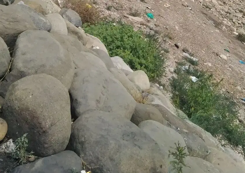 زمین خیابان احمدی روش