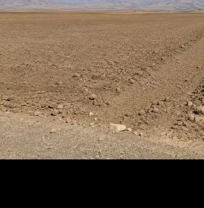 زمین کشاورزی روستای قره گوز کنار جاده کلیبر