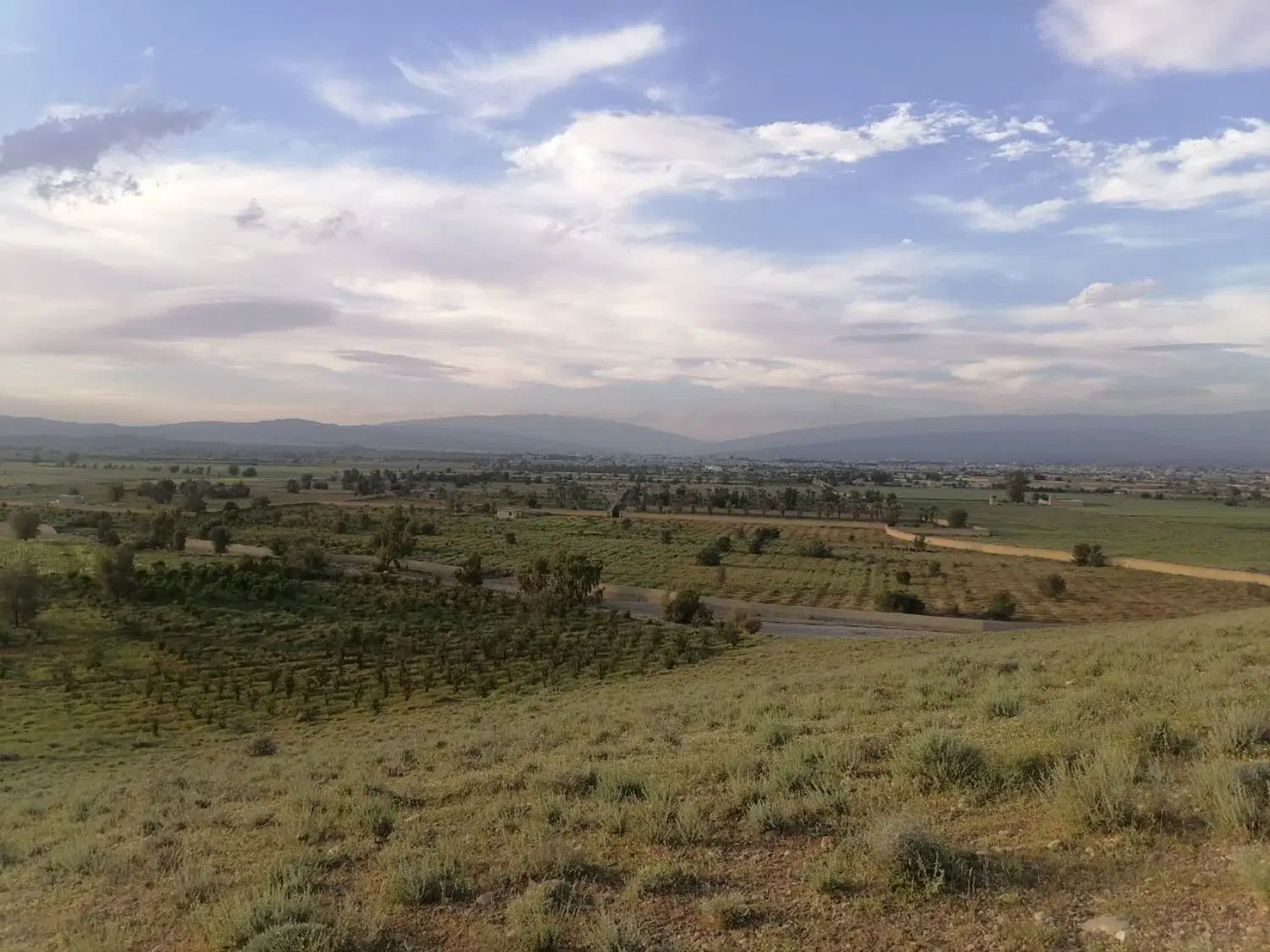 زمین کشاورزی ۵.۵ هکتار