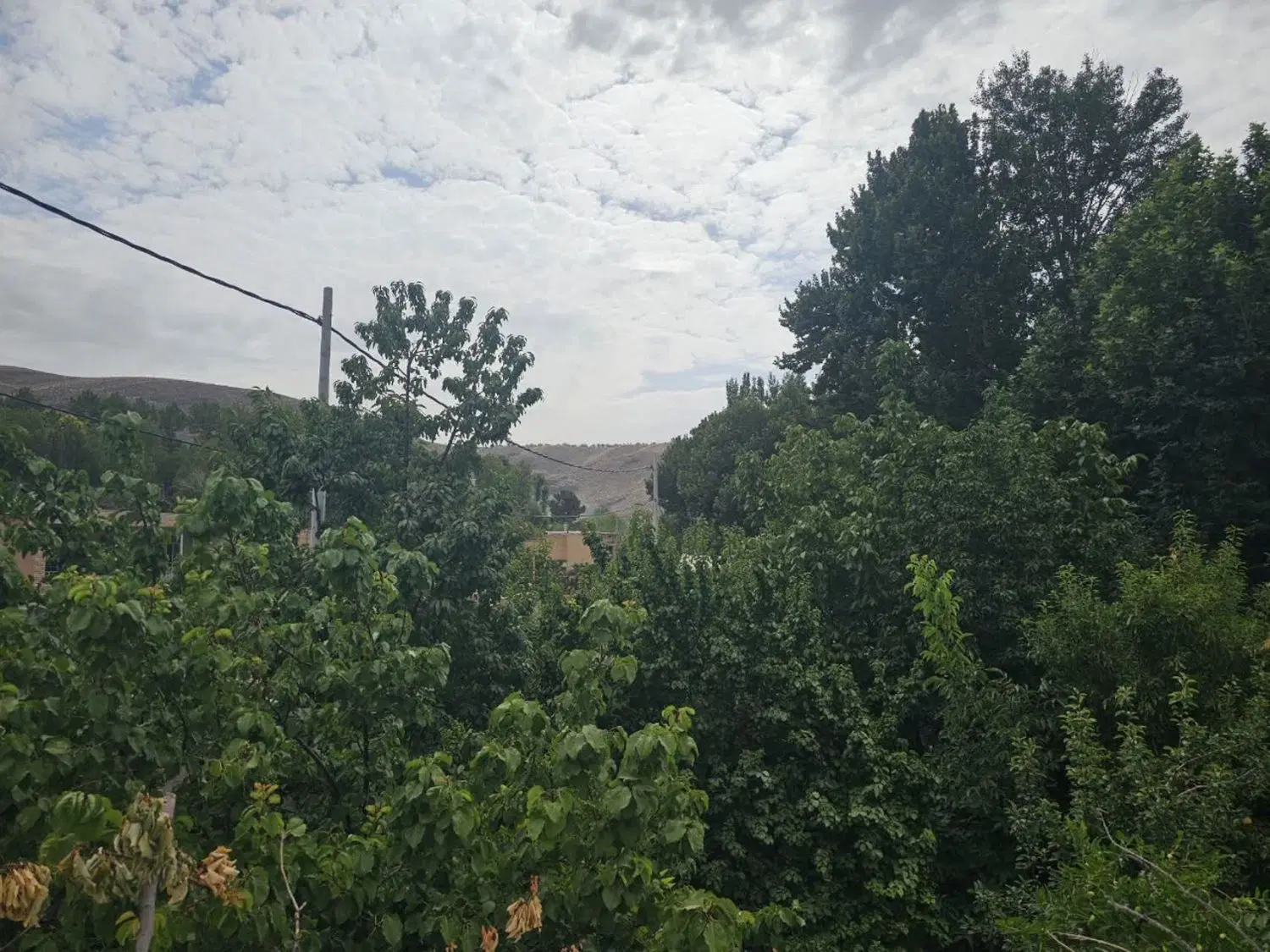 فروش خونه باغ