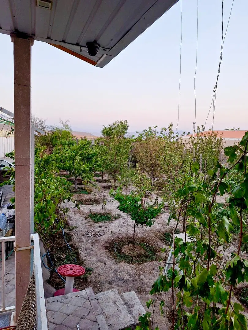 باغ ویلایی