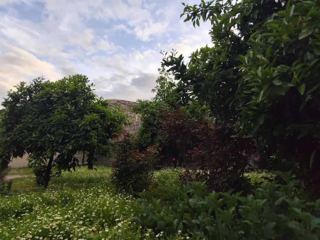زمین مسکونی، امیر کبیر ۱، خیابان ۲۴ متری تاریشا