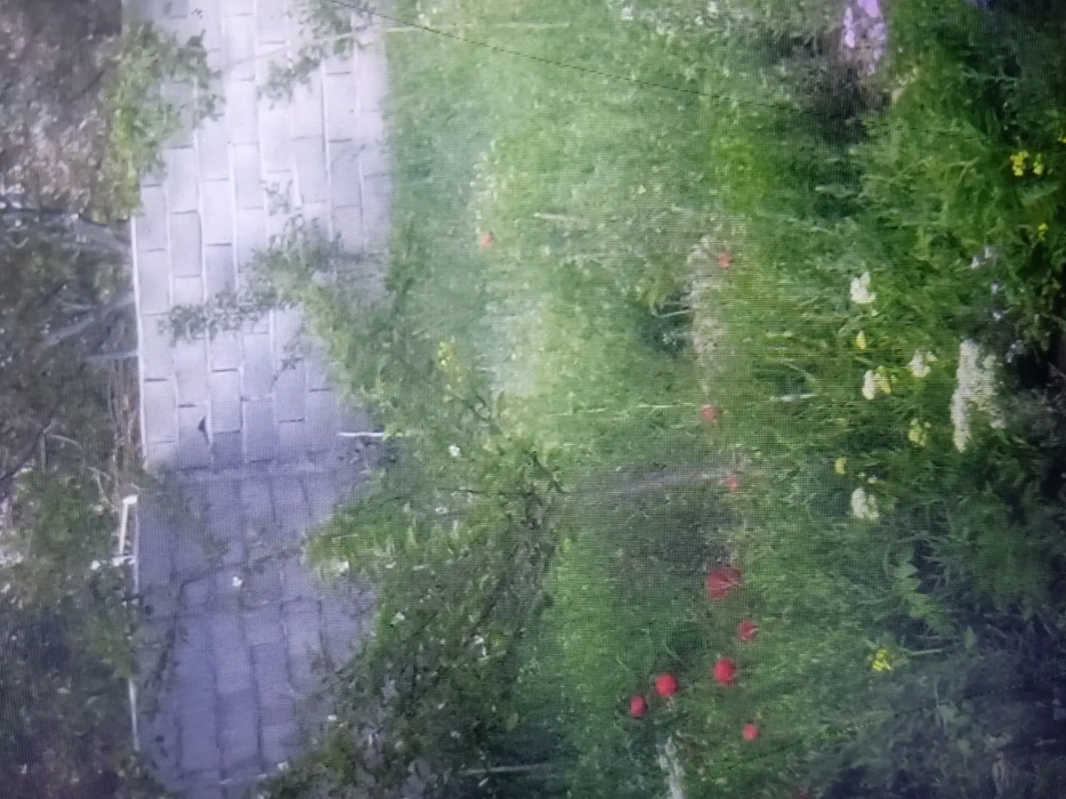 باغ ویلایی جاده بناب مرند