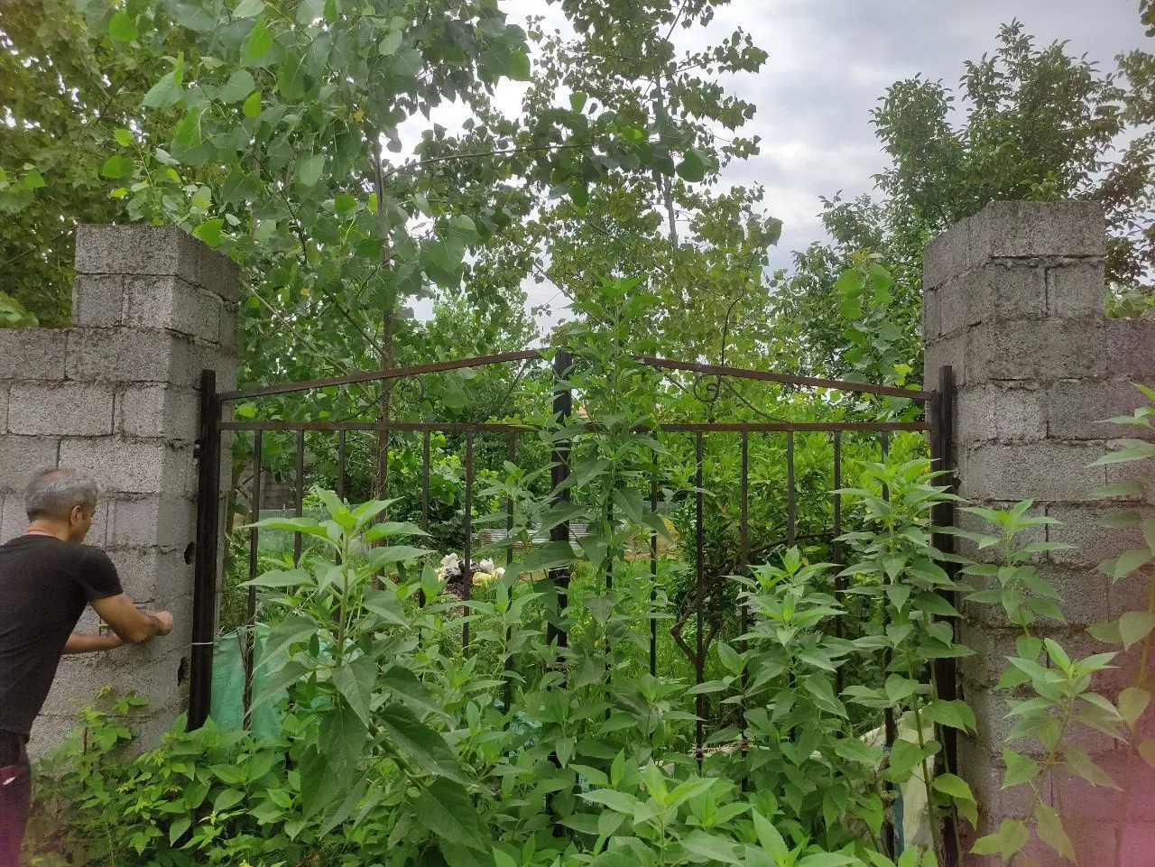 زمین دیوار کشی شده