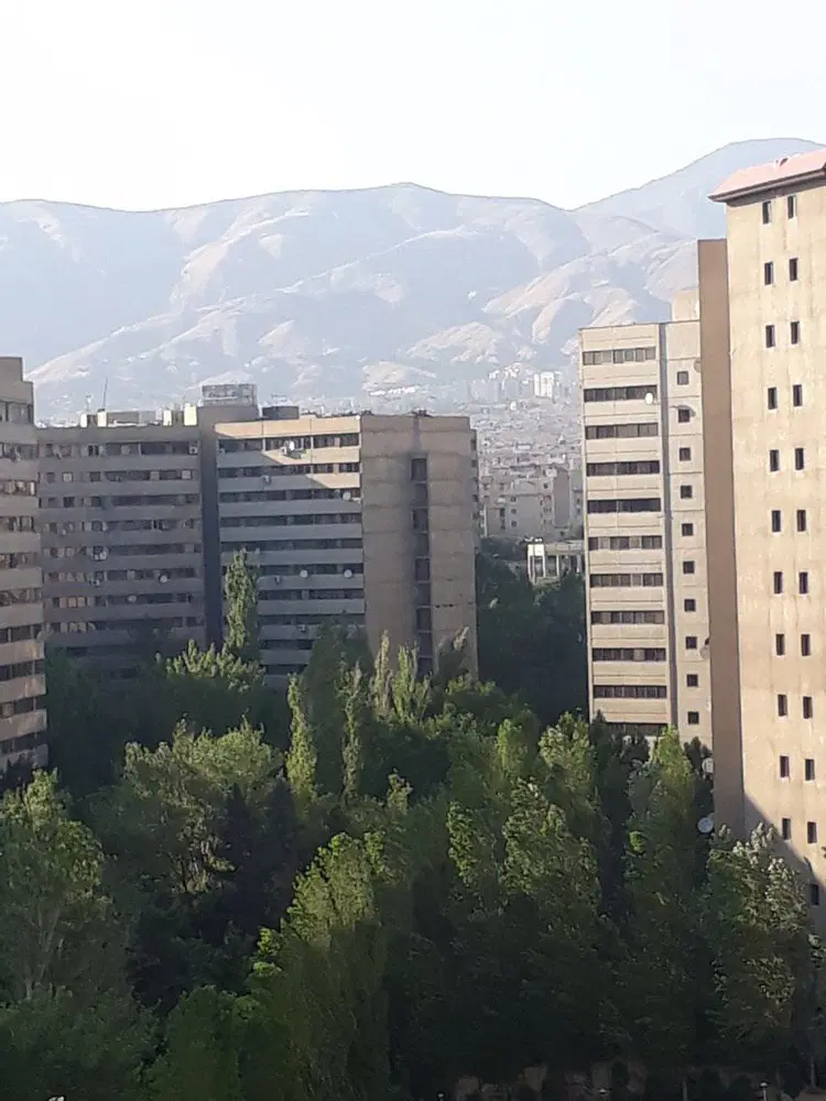 یکحوابه تیپ H