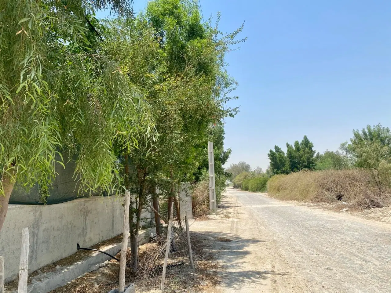 فروش زمین باغی(بنک)سند تک برگ