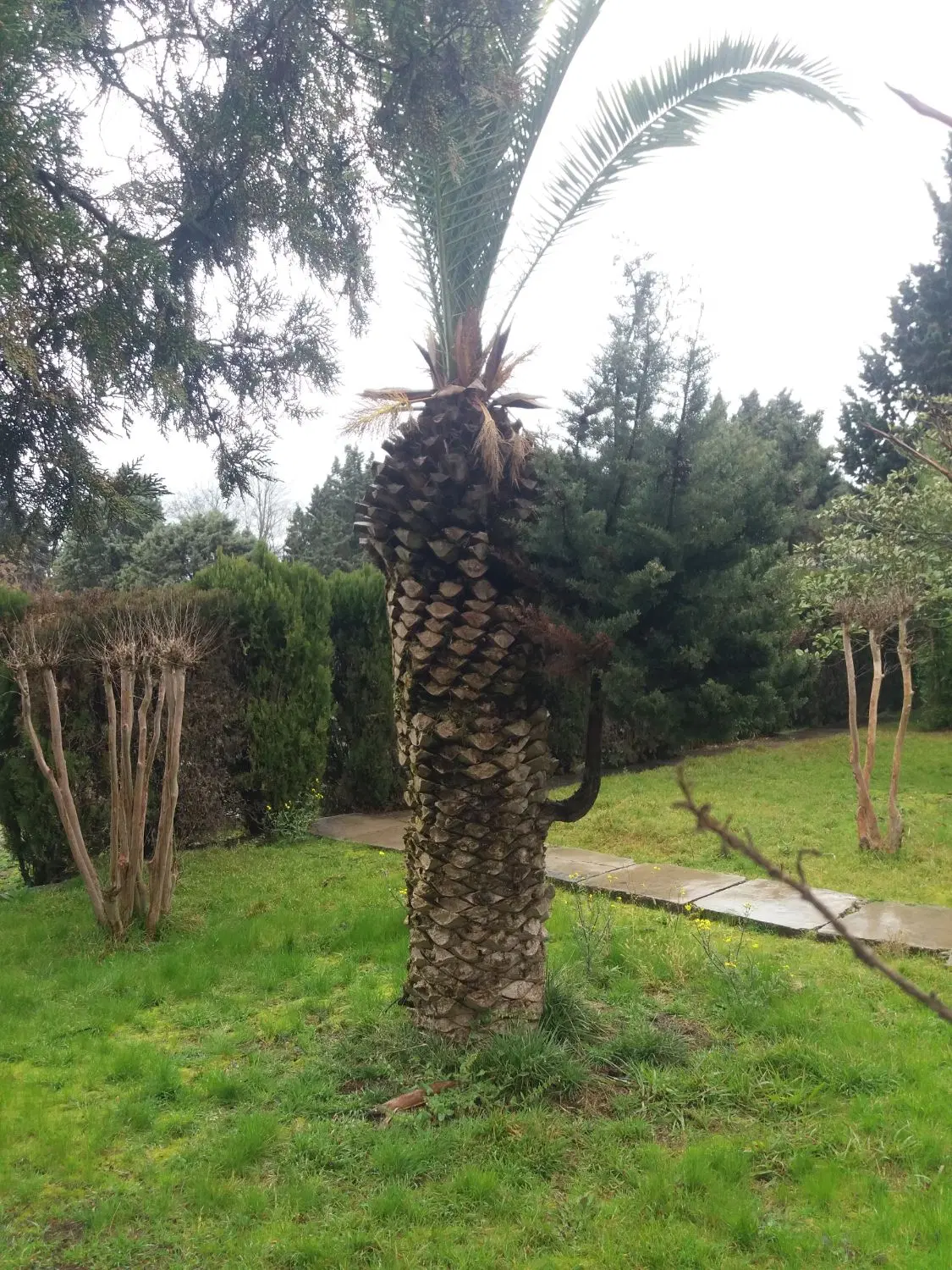 زمین توشن
