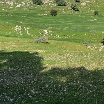 فروش زمین ۳۵۳ متری بنسنجان فرعی ۹