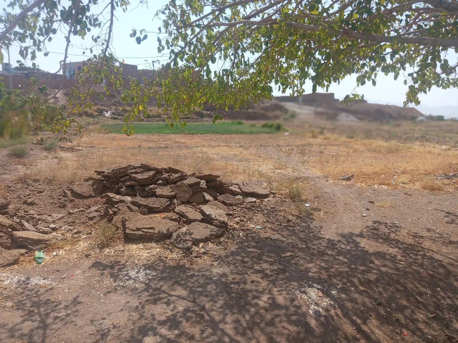 زمین کشاورزی