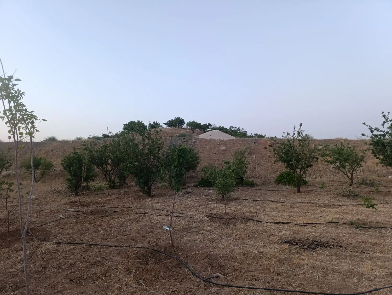 فروش باغ