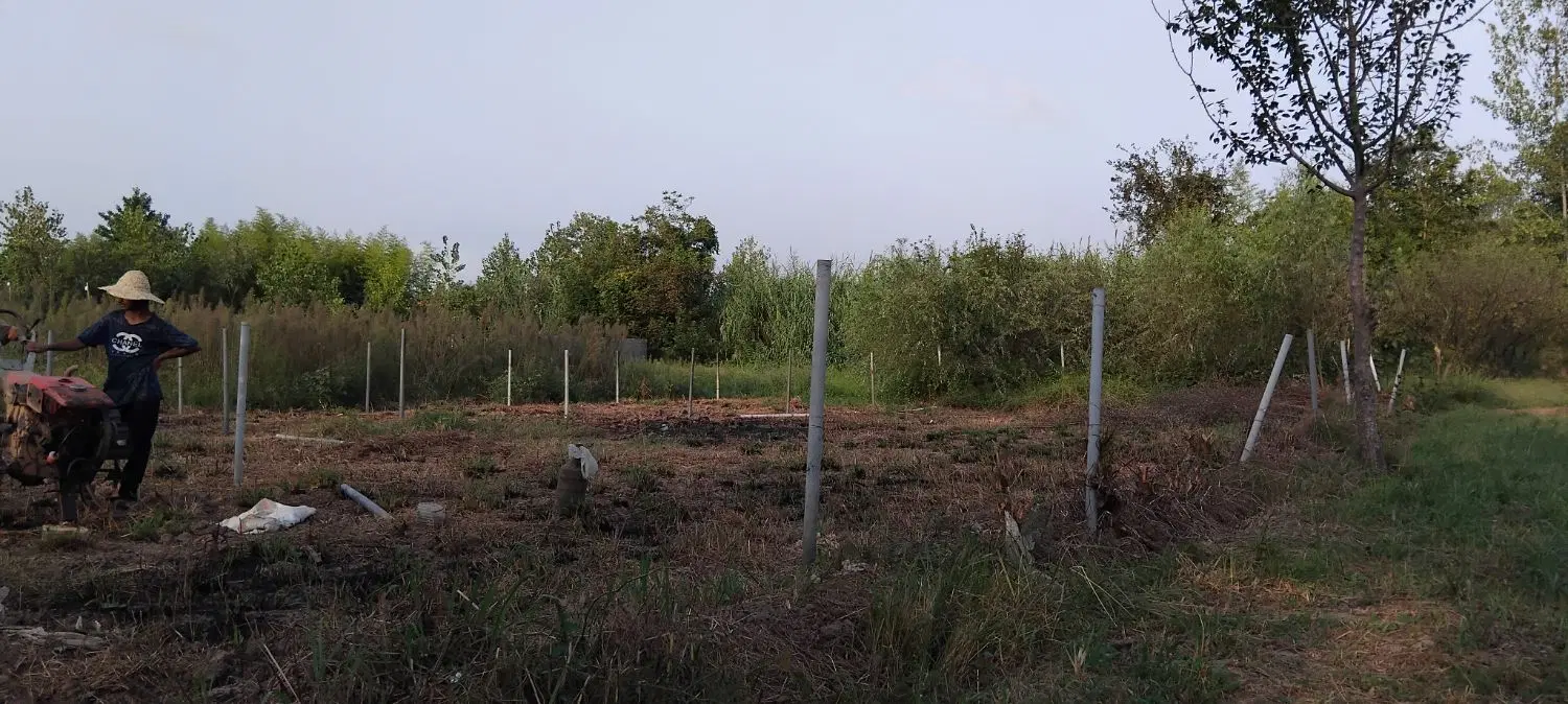 زمین مسکونی 300متر جعفر اباد مژده