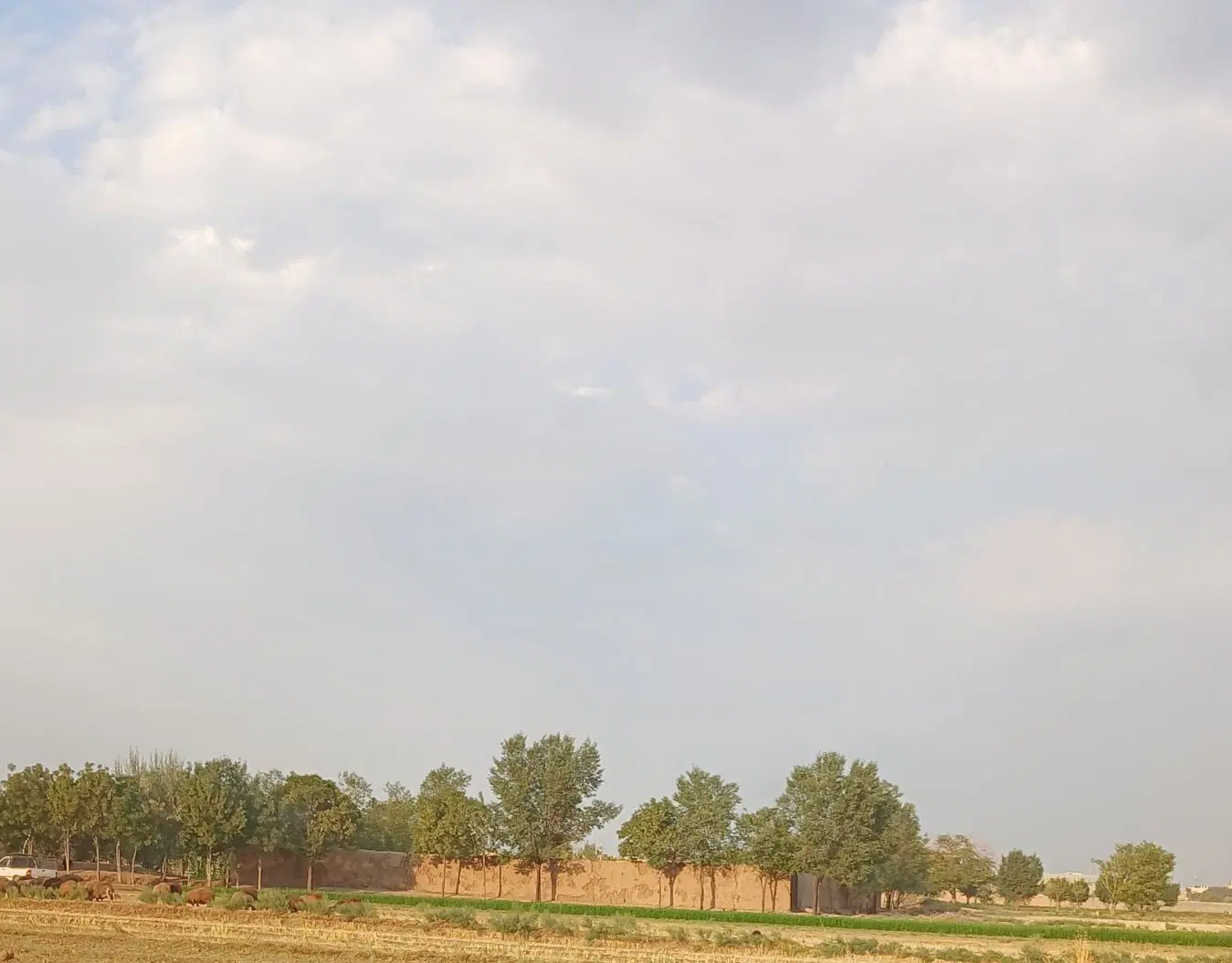 ۱۰۰متر زمین خیابان امام خمینی