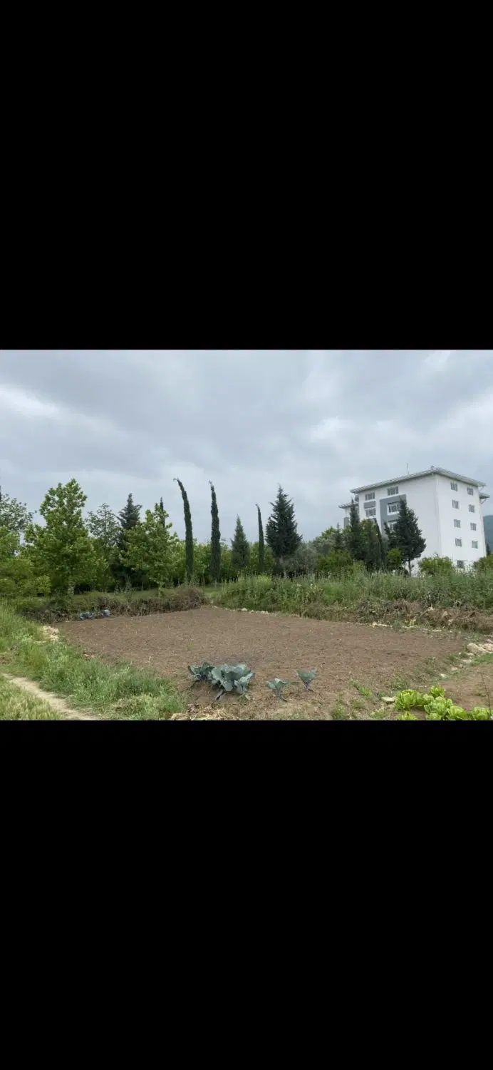 زمین ۲۳۰ متری التپه