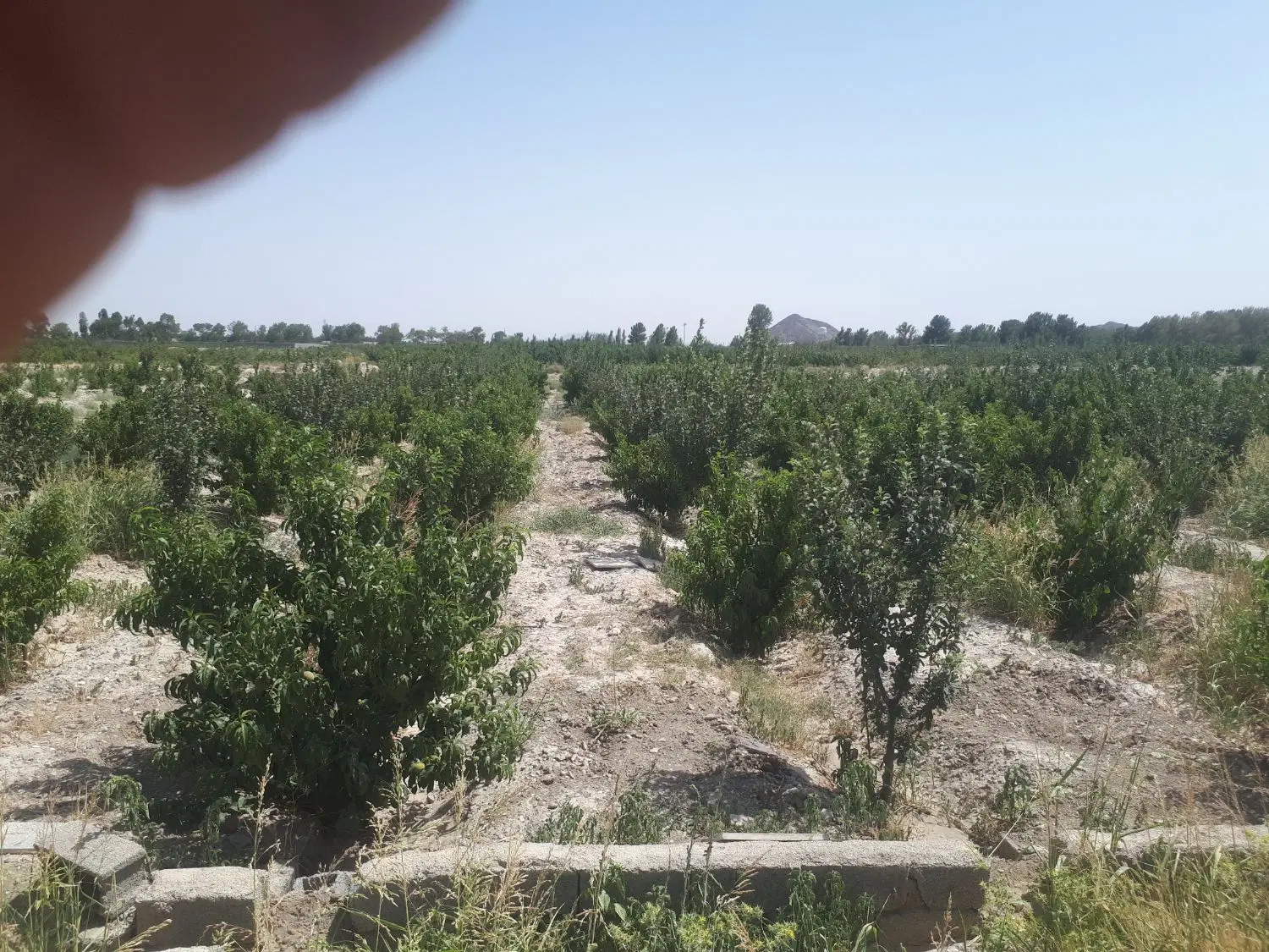 زمین چهار دیواری
