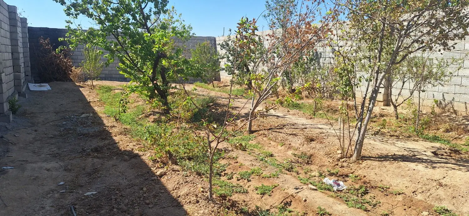 باغ ۵۲۰ متری