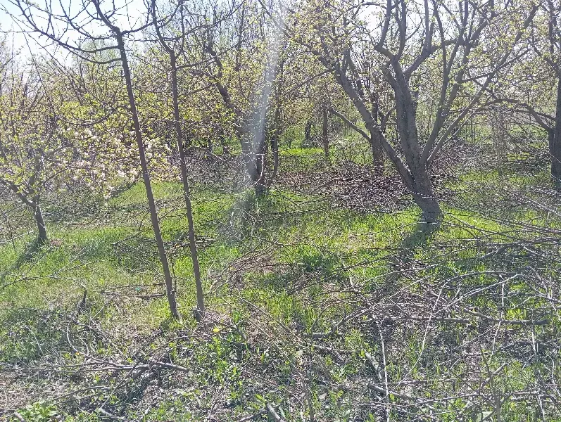زمین مسکن نیرو انتظامی