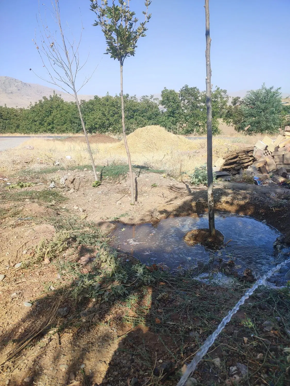 زمین مسکونی در روستایی میرعزیزی ۱۸۰متر