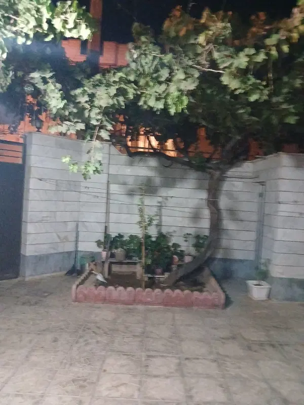 یک قطعه زمین در روستای مرزجران طرح حادی