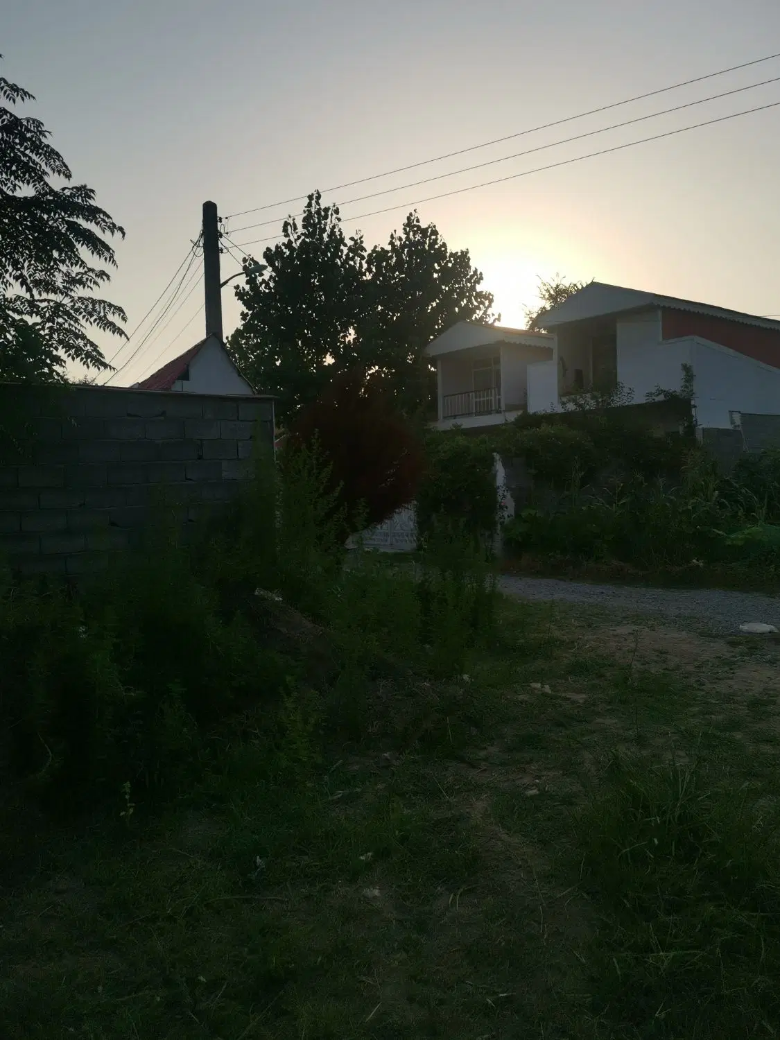 زمین