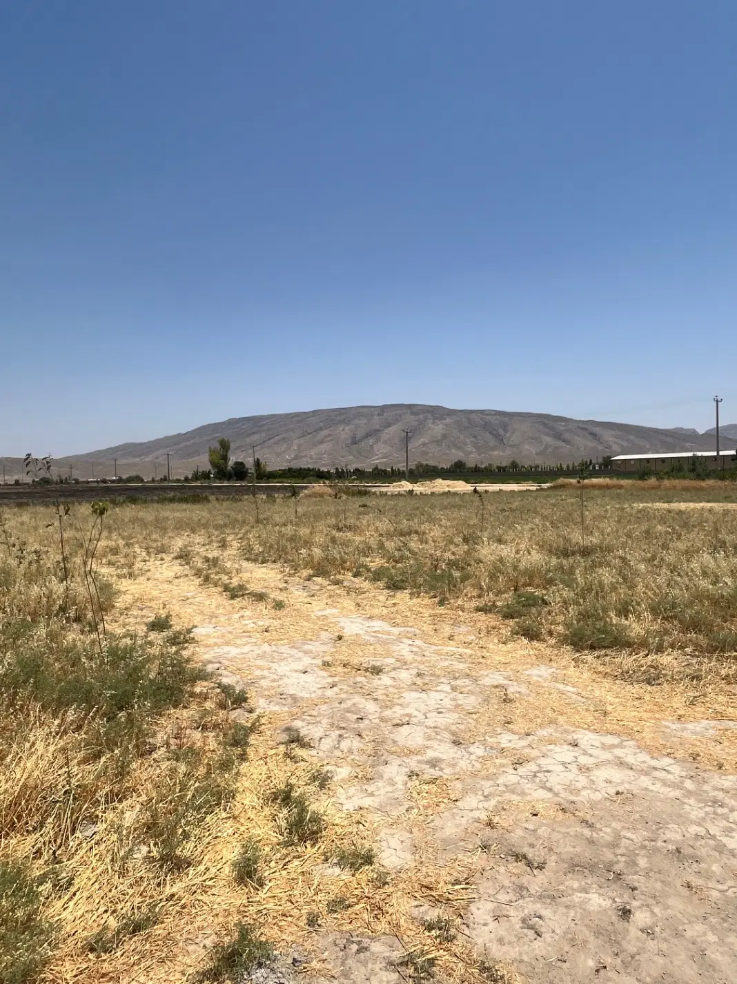 فروش زمین باغ شهری وسرمایه‌گذاری بلواردانشگاه آزاد