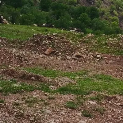 فروش انواع خانه زمین مسکونی تجاری تمام مناطق دورود