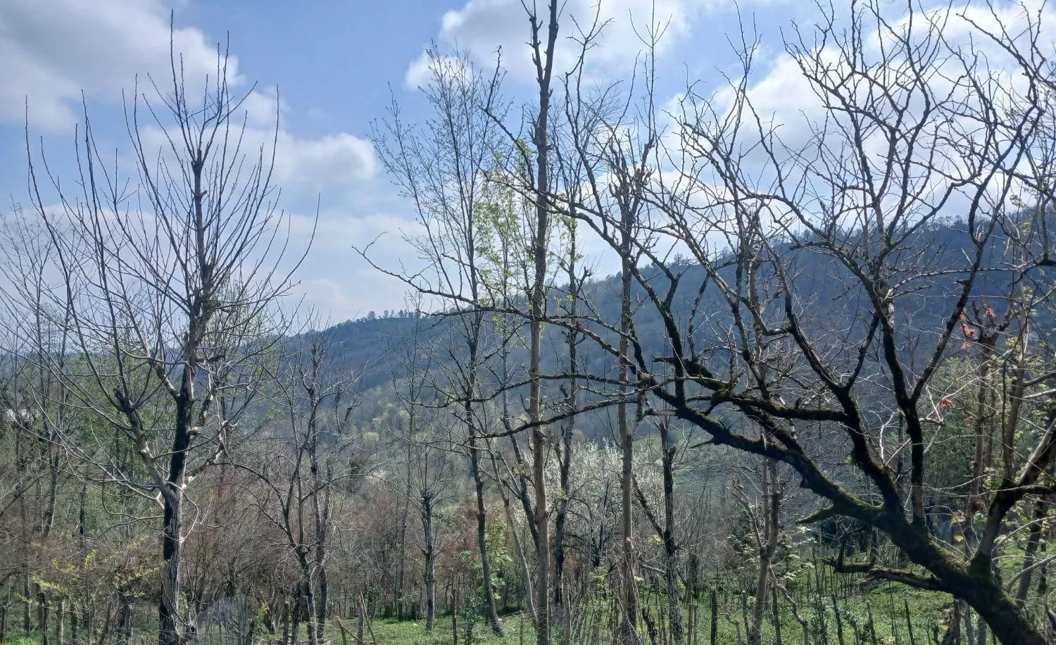 زمین مسکونی آسفالت تا خود زمین