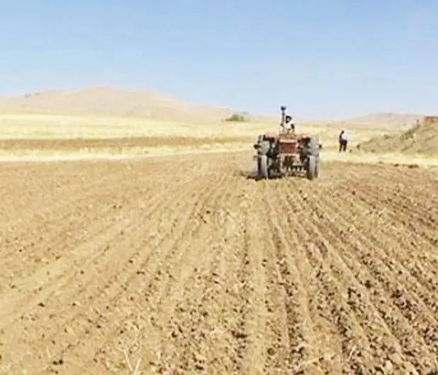 زمین کشاورزی سیاه خانی یک قطعه