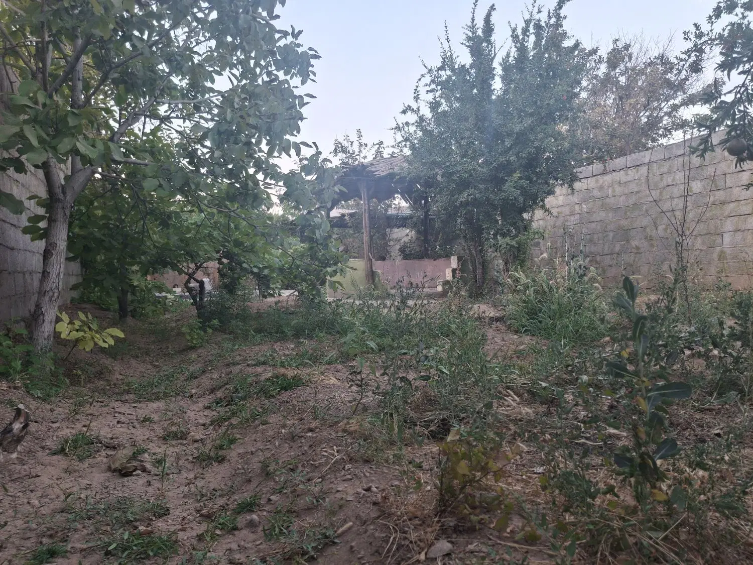 فروش باغچه