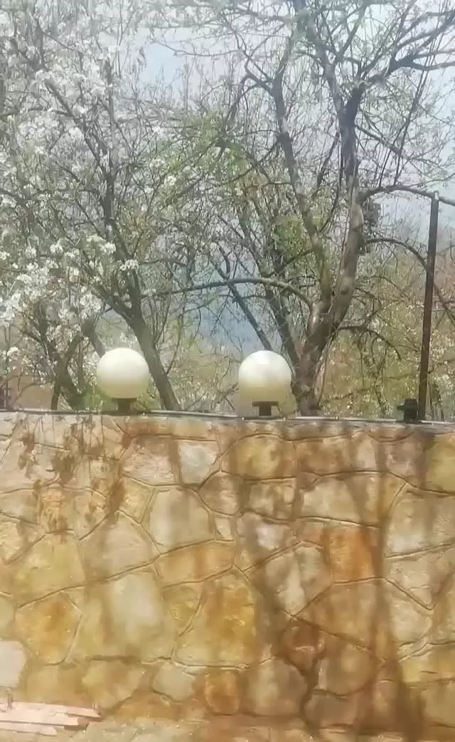 کافه آلاچیق اقتصادی ابرده جنگلی