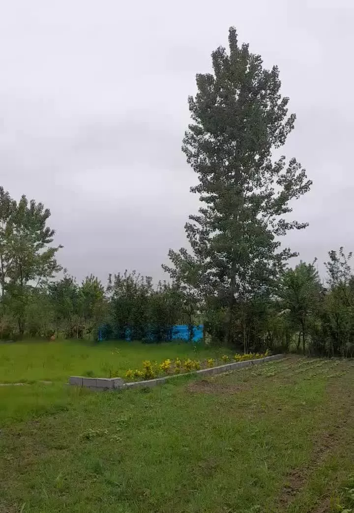 زمین ابراهیم سرا