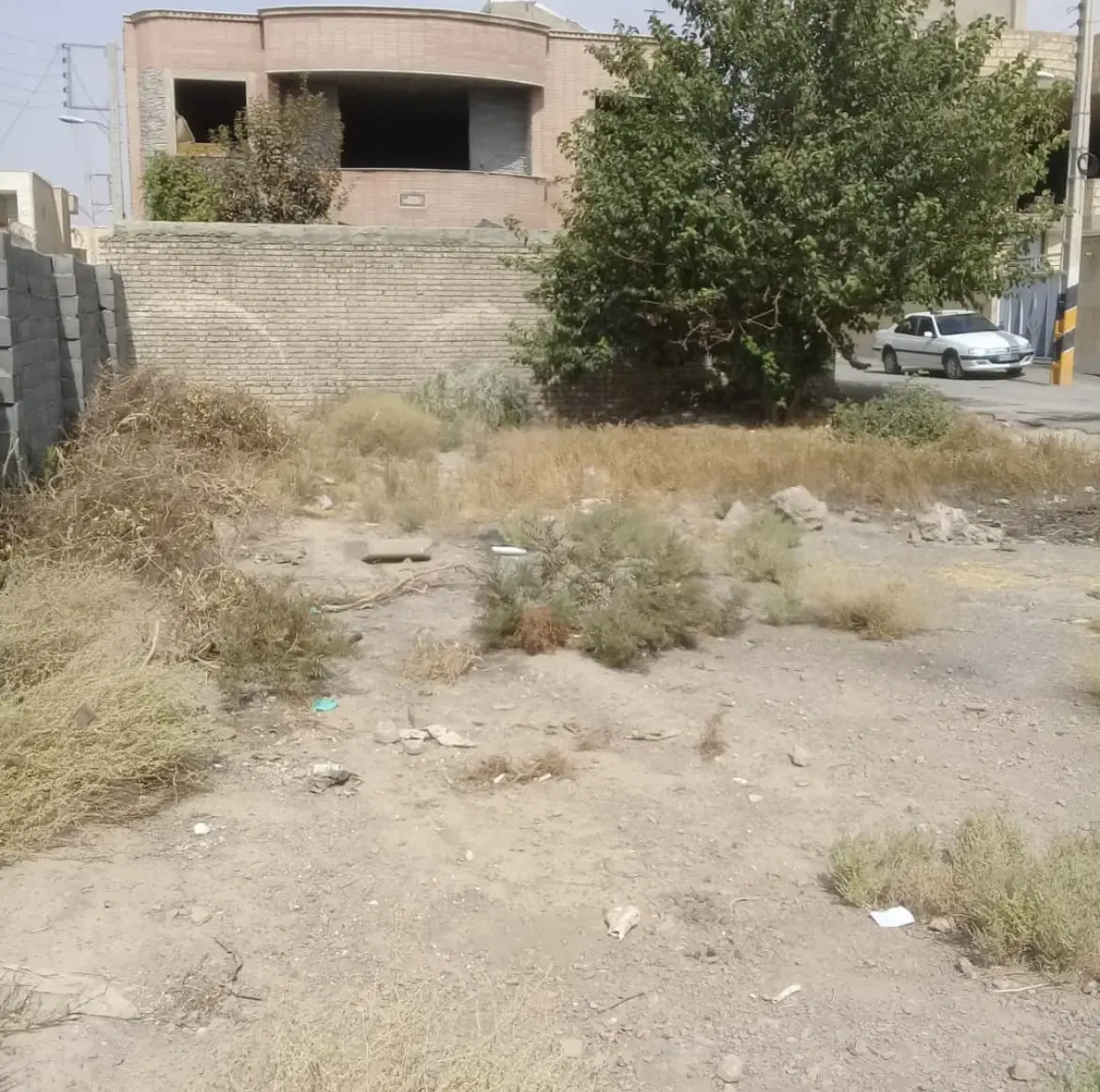 زمین تجاری دونبش باغ ملی