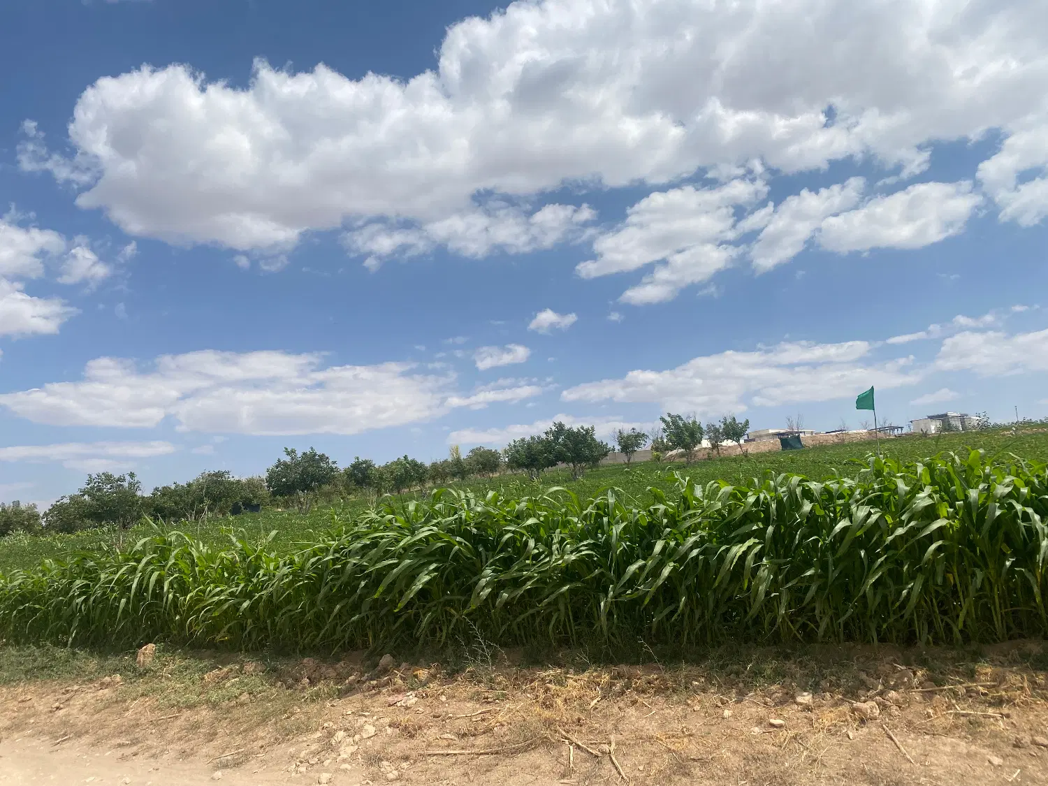 آبسرد آسمان آبی زمین خاکی هوای پاک