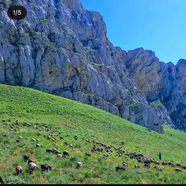 خانه ویلایی بهترین مکان برای تفریح