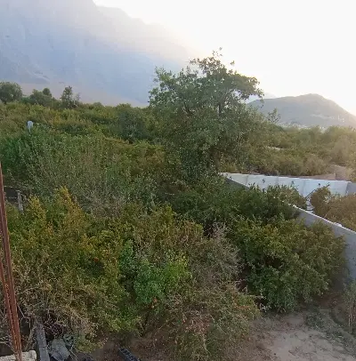 باغ سبز و خوش موقعیت در تفت (آخر تفت اول اسلامیه )