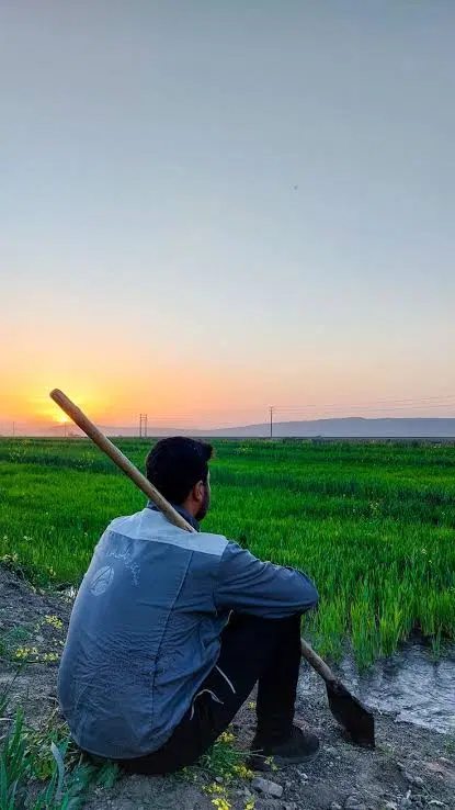 کشاورزی به فروش می رسد
