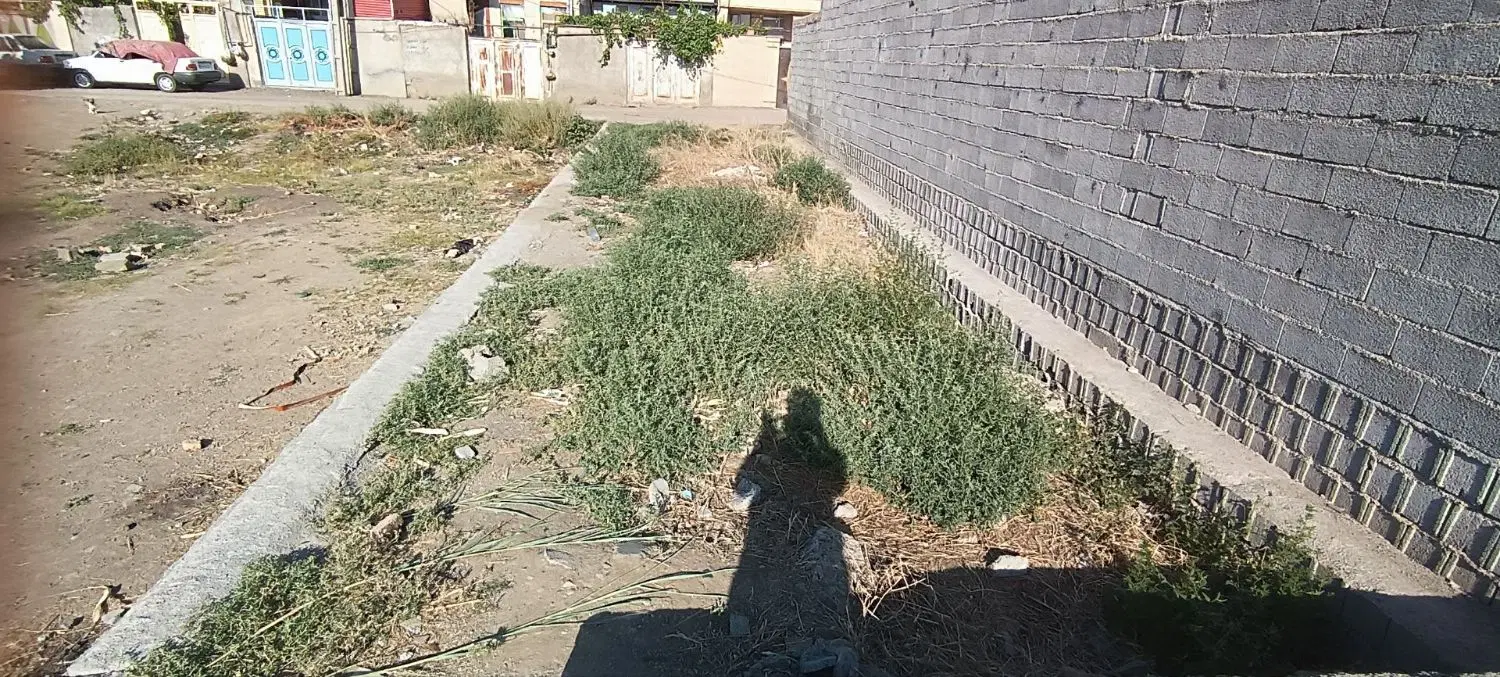 زمین مسکونی