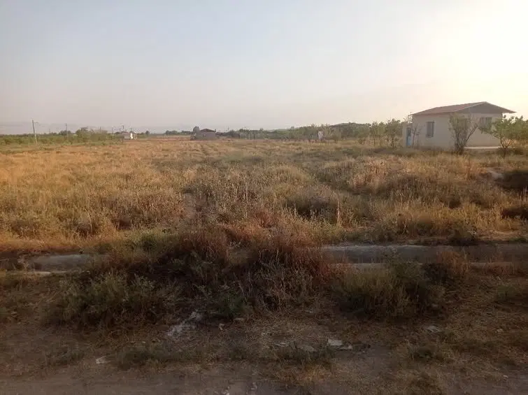 زمین کشاورزی پنج هزار متر .خسراباد