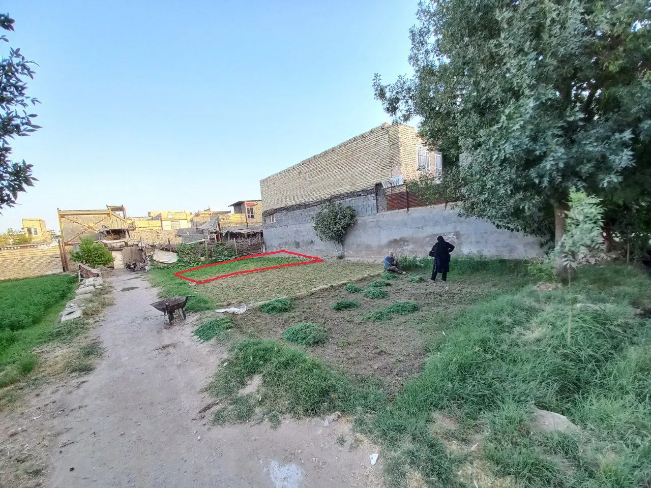زمین کشاورزی