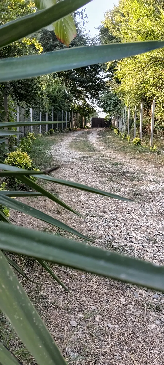 ویلا اجاره ای