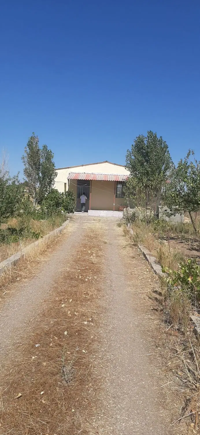 باغ ینگیجه۵۱۰۰متر