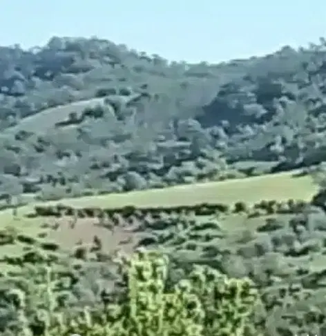زمین کشاورزی
