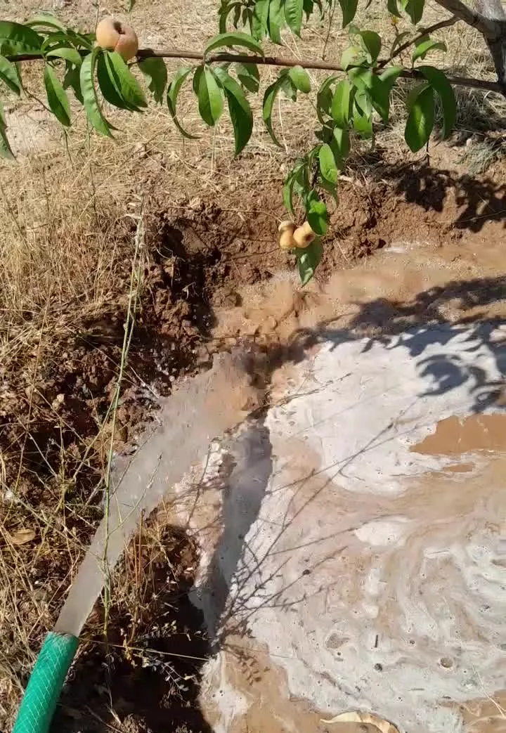 باغ ویلا ۵۰۰ متری روستای زین آباد امند ایوند