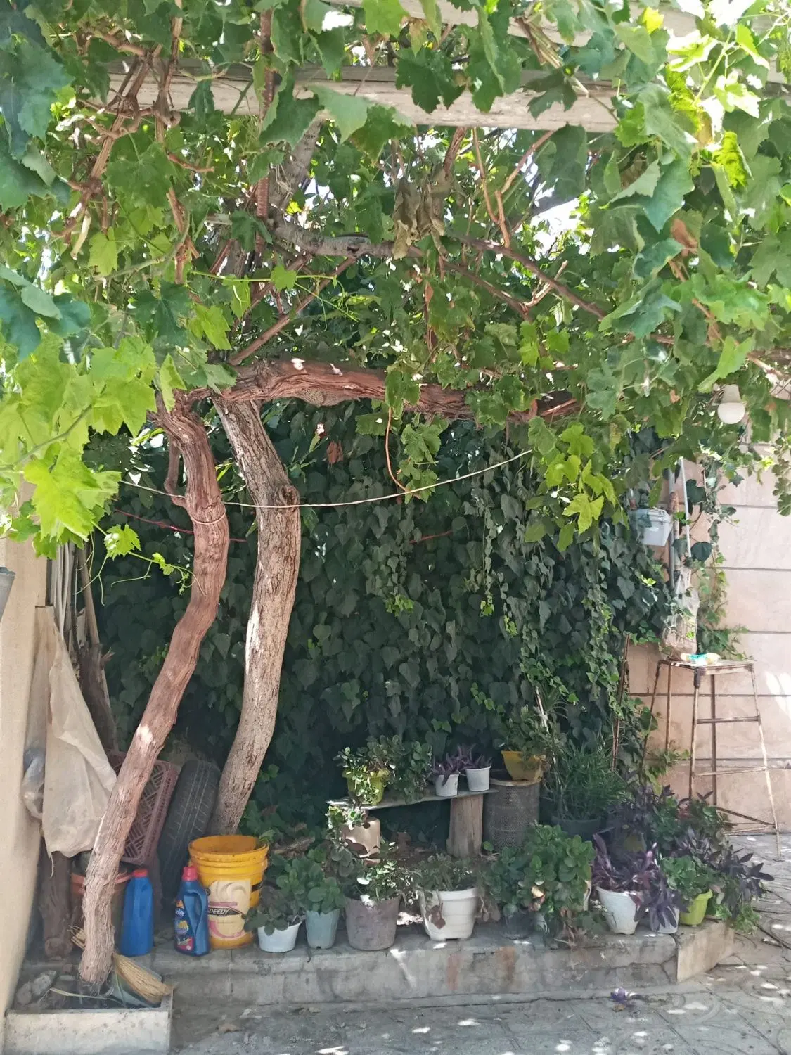 ویلایی سند تک برگ ۳۰۰متر کنتور آب برق گاز(تهاتری)