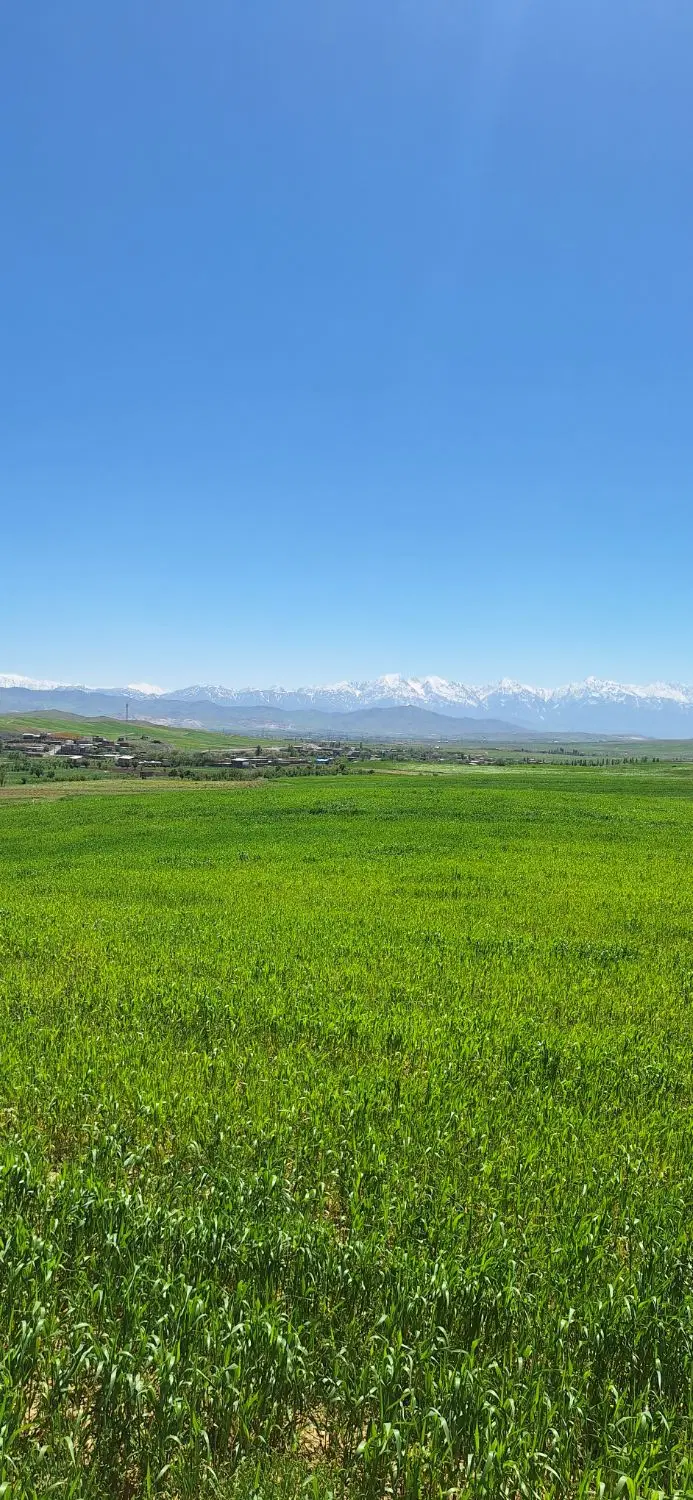 زمین
