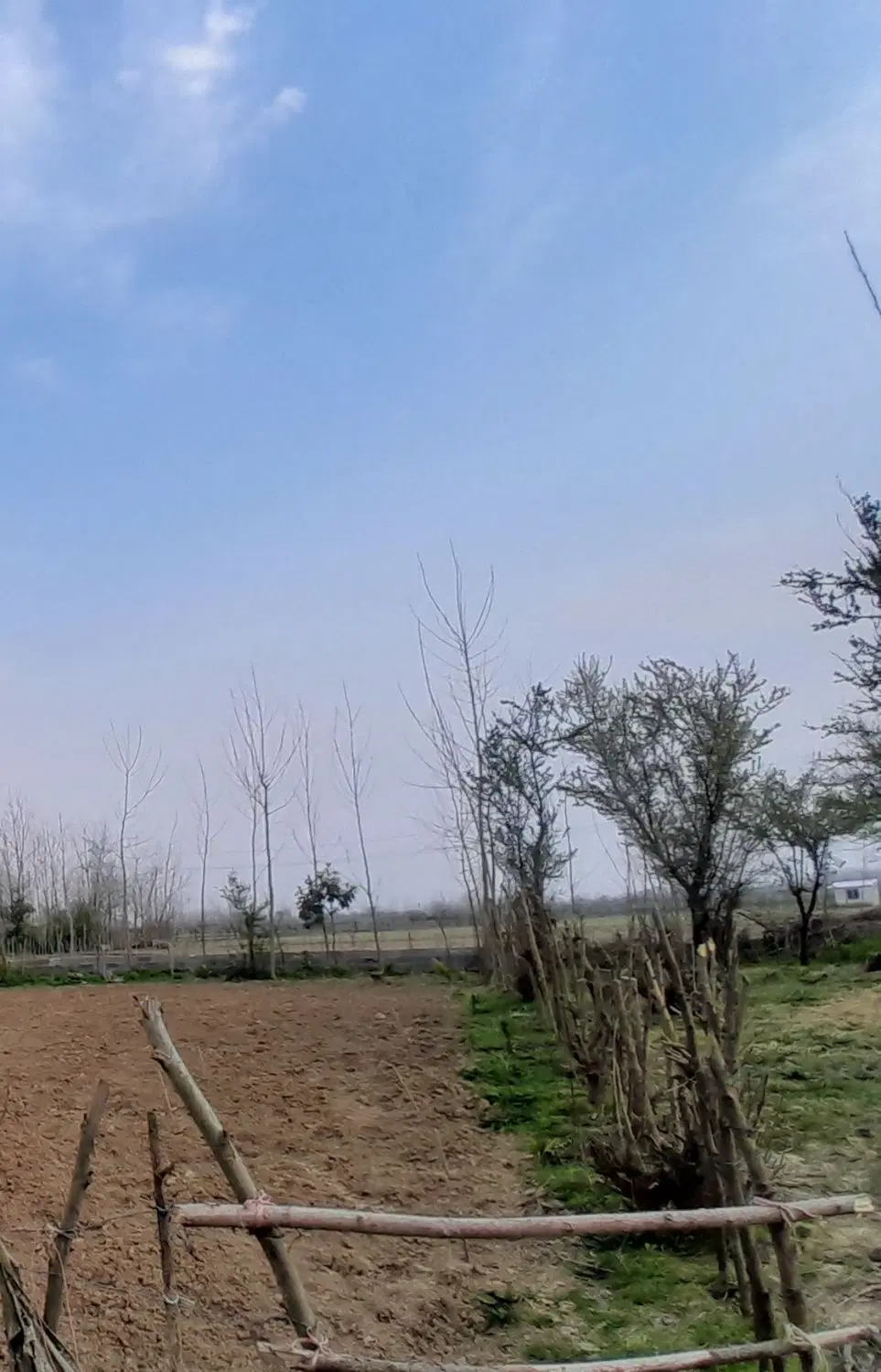 زمین باغی در نوخاله.در روستا گازگیشه