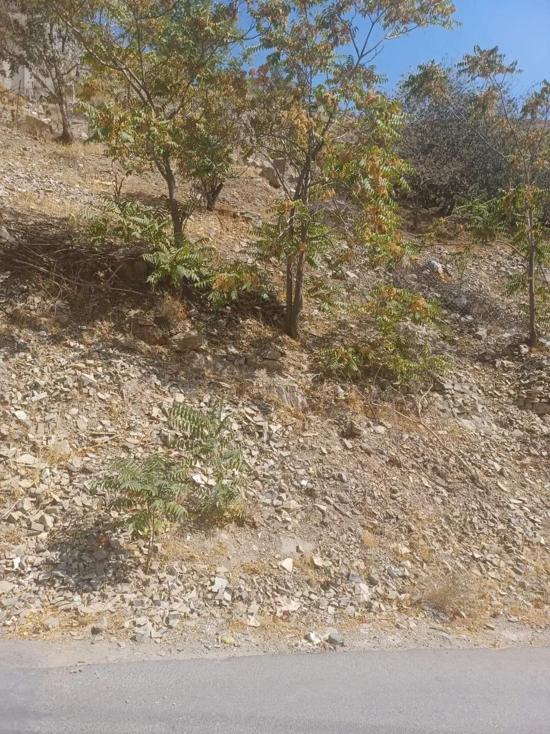 رمین فروشی بر خیابان