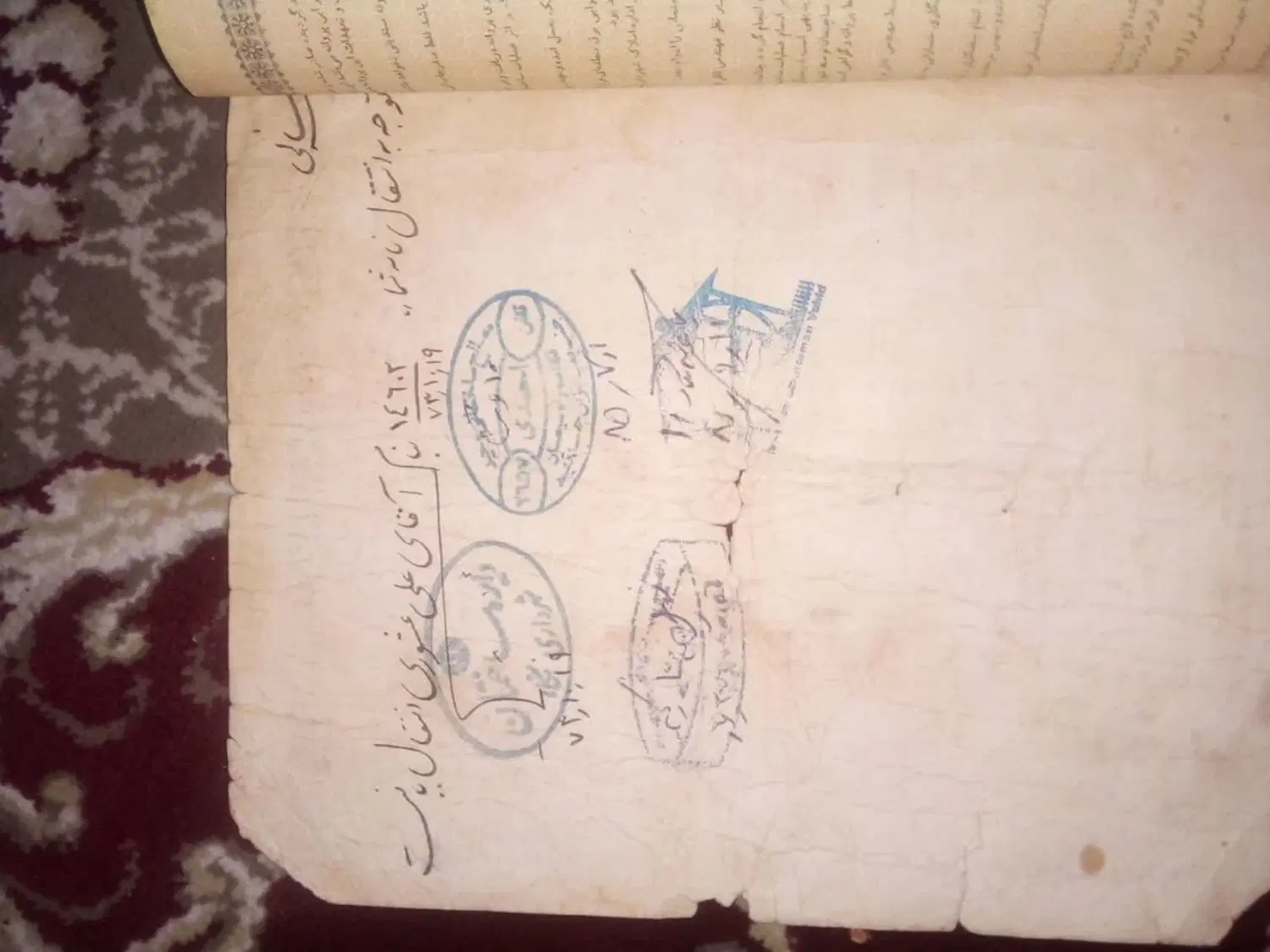 زمین داخل ازادی ۲۰